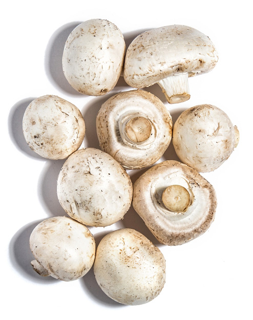 Recipes | Stuffed Button Mushrooms - Grey Power